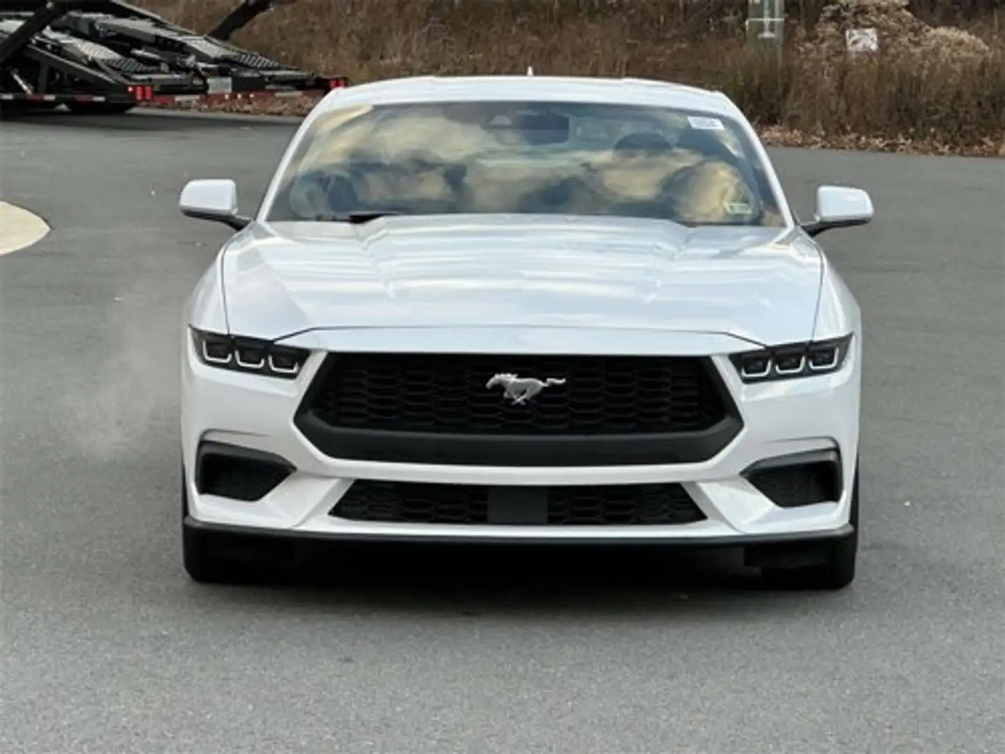 Ford Mustang 2024  Ecoboost 2.3 nur bei uns Schwarz - 2
