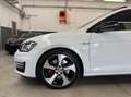 Volkswagen Golf GTI 2.0 tsi Gti Performance 3p TETTO TAGLIANDI - thumbnail 6
