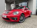 Volkswagen Beetle Cabriolet Sport BMT R-Line*SHZ,Navi,LED Rouge - thumbnail 1