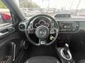 Volkswagen Beetle Cabriolet Sport BMT R-Line*SHZ,Navi,LED Rot - thumbnail 11