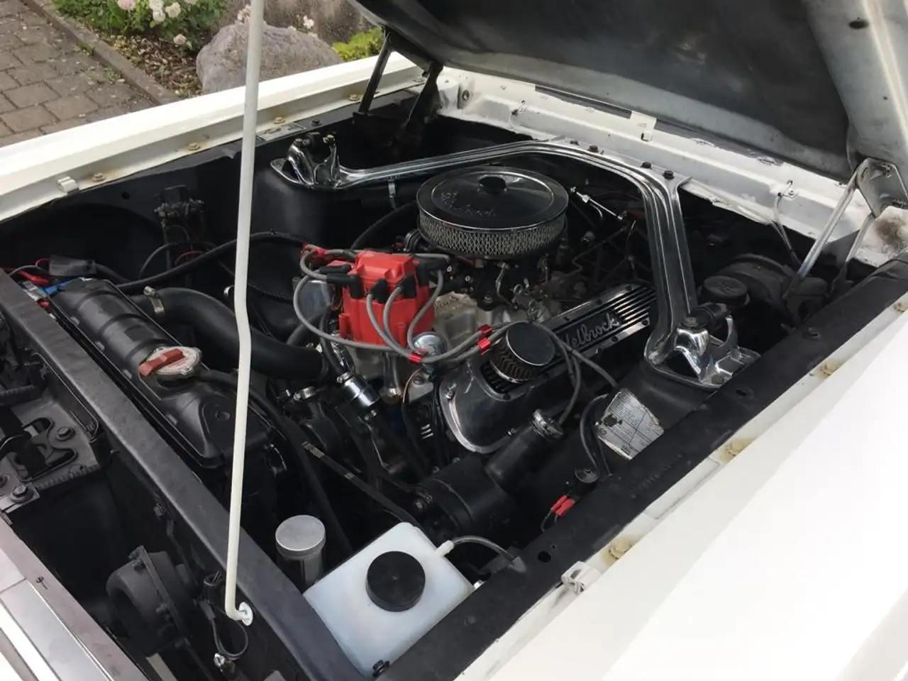 Ford Mustang 289 CUI Coupé, foto 8