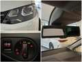 Volkswagen Sharan 2.0 TDI Highline|6-SITZER|PANO|KAMERA|STH Weiß - thumbnail 14
