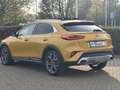 Kia XCeed 1,6 T-GDI  Automatik "Launch Edition" Gelb - thumbnail 7
