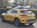 Kia XCeed 1,6 T-GDI  Automatik "Launch Edition" Gelb - thumbnail 6