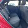 Ford Puma 1.0 EcoBoost ST-Line X 125 Violett - thumbnail 22