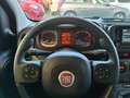 Fiat Panda Panda 1.0 FireFly S&S Hybrid City Life Grau - thumbnail 8