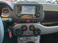Fiat Panda Panda 1.0 FireFly S&S Hybrid City Life Grau - thumbnail 11