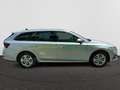 Skoda Octavia Octavia Combi Clever 1,0 TSI 81 kW 6-speed mech. Grau - thumbnail 9