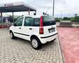 Fiat Panda Panda II 20031.2 natural power Dynamic Bianco - thumbnail 4