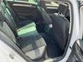 Volkswagen Passat Variant SCR Highline 2,0 TDI 4Motion *ACC/LEDER/AHK Weiß - thumbnail 12