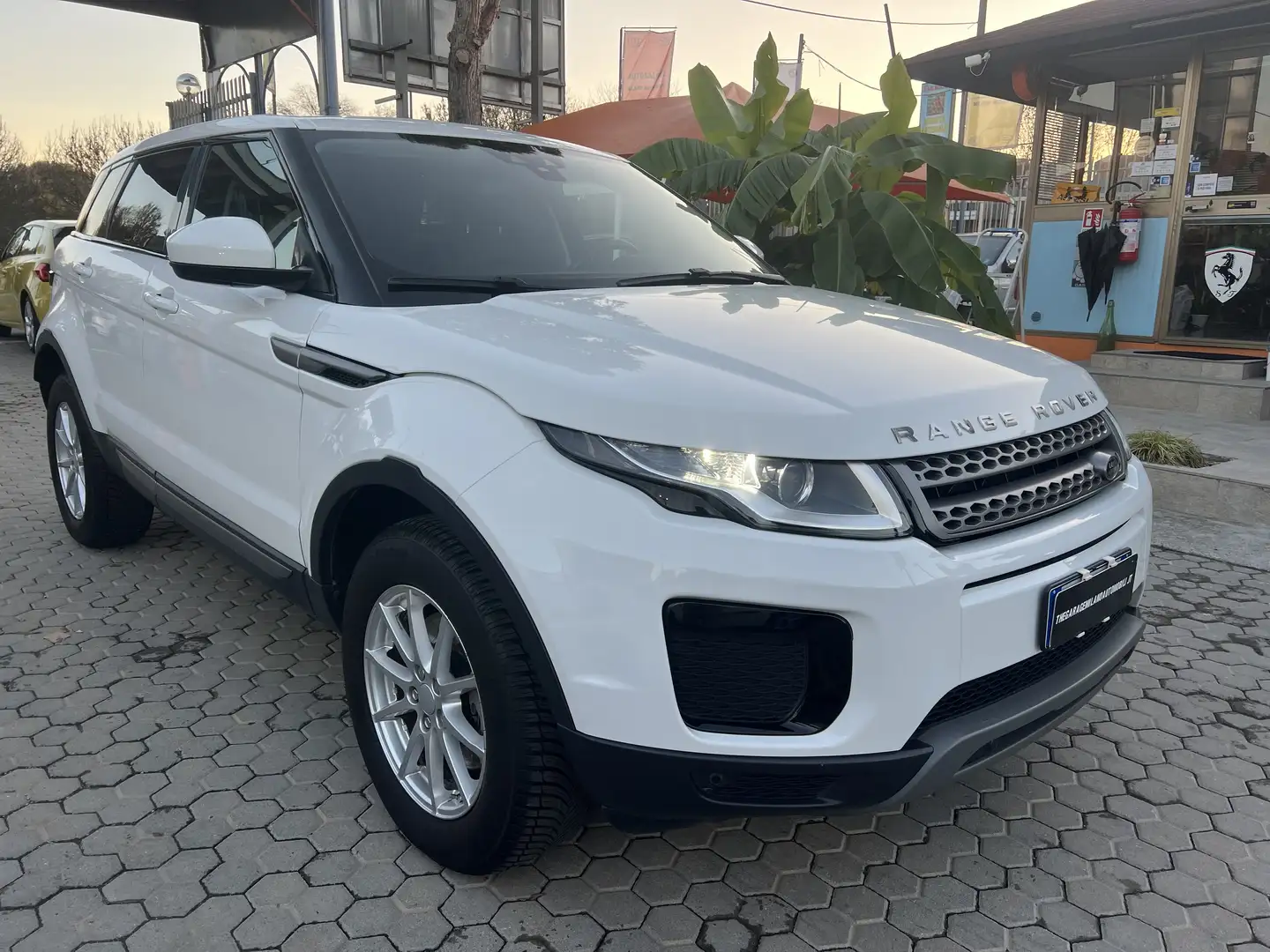 Land Rover Range Rover Evoque 2.0 td4 Pure Business edition Premium 150cv auto Weiß - 2