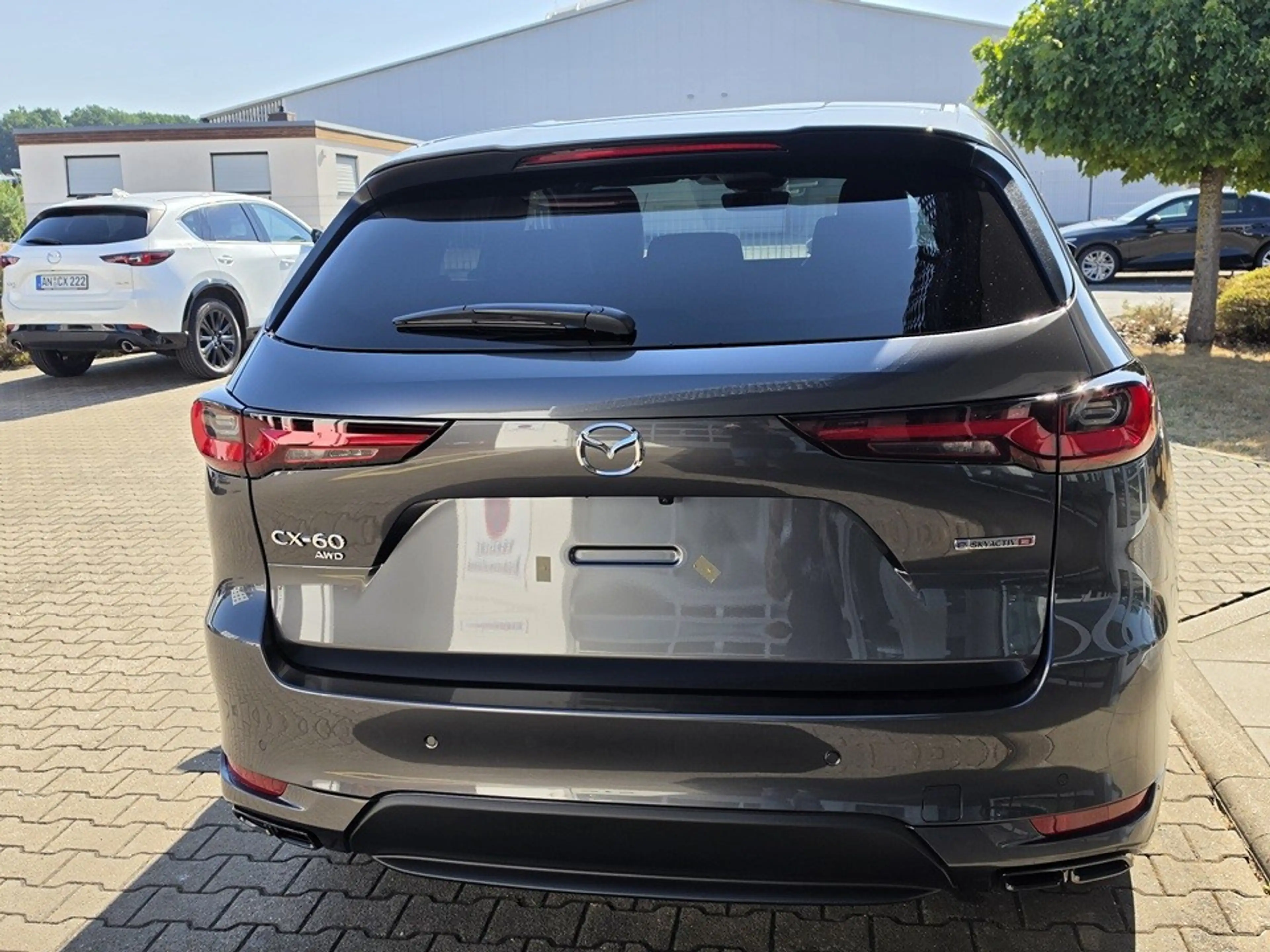 Mazda CX-60 e-SKY D 254 PS 8AT AWD Homura COSO BLOP — photo 10