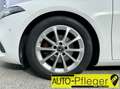 Mercedes-Benz A 180 d Automatik Weiß - thumbnail 14