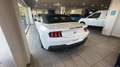 Ford Mustang Convertible 5.0 Ti-VCT GT Rojo - thumbnail 8