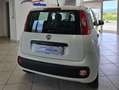 Fiat Panda Panda III 2012 1.2 Easy 69cv E6 Blanc - thumbnail 7