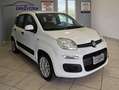 Fiat Panda Panda III 2012 1.2 Easy 69cv E6 Blanc - thumbnail 8