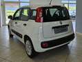 Fiat Panda Panda III 2012 1.2 Easy 69cv E6 Blanc - thumbnail 6