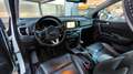 Kia Sportage 1.7CRDi VGT Eco-Dynamics Drive 4x2 Weiß - thumbnail 6