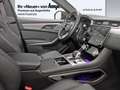 Jaguar F-Pace D300 R-Dynamic SE AWD 90th Anniversary Edition Pan Schwarz - thumbnail 5