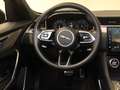 Jaguar F-Pace D300 R-Dynamic SE AWD 90th Anniversary Edition Pan Schwarz - thumbnail 19