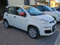 Fiat Panda Panda 1.0 Active natural power Bianco - thumbnail 3