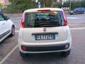 Fiat Panda Panda 1.0 Active natural power Bianco - thumbnail 5