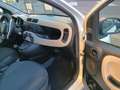 Fiat Panda Panda 1.0 Active natural power Bianco - thumbnail 14