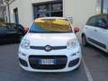 Fiat Panda Panda 1.0 Active natural power Bianco - thumbnail 2