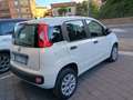 Fiat Panda Panda 1.0 Active natural power Bianco - thumbnail 4
