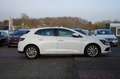 Renault Megane ENERGY TCe 100 Intens Weiß - thumbnail 5