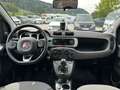 Fiat Panda Cross 4x4 1.3 JTD95 Weiß - thumbnail 11