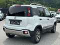 Fiat Panda Cross 4x4 1.3 JTD95 Weiß - thumbnail 6