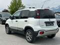 Fiat Panda Cross 4x4 1.3 JTD95 Weiß - thumbnail 4