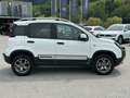 Fiat Panda Cross 4x4 1.3 JTD95 Weiß - thumbnail 7