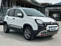 Fiat Panda Cross 4x4 1.3 JTD95 Weiß - thumbnail 8