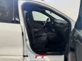 Ford Kuga 1.5 EcoBlue 120 CV 2WD ST-Line Bianco - thumbnail 25