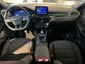 Ford Kuga 1.5 EcoBlue 120 CV 2WD ST-Line Bianco - thumbnail 20