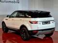 Land Rover Range Rover Evoque 2.2 SD4 4WD Dynamic*BI-XENON*GPS*GARANTIE 12M Blanc - thumbnail 8