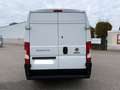 Fiat Ducato*Thermo-King V-300*Klima*Trennwannd* Weiß - thumbnail 4