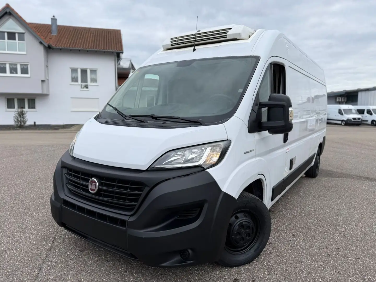 Fiat Ducato*Thermo-King V-300*Klima*Trennwannd* Weiß - 1