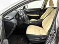Lexus NX 300h AWD Business Line | Navigatie | Leder | Elektrisch Grijs - thumbnail 19