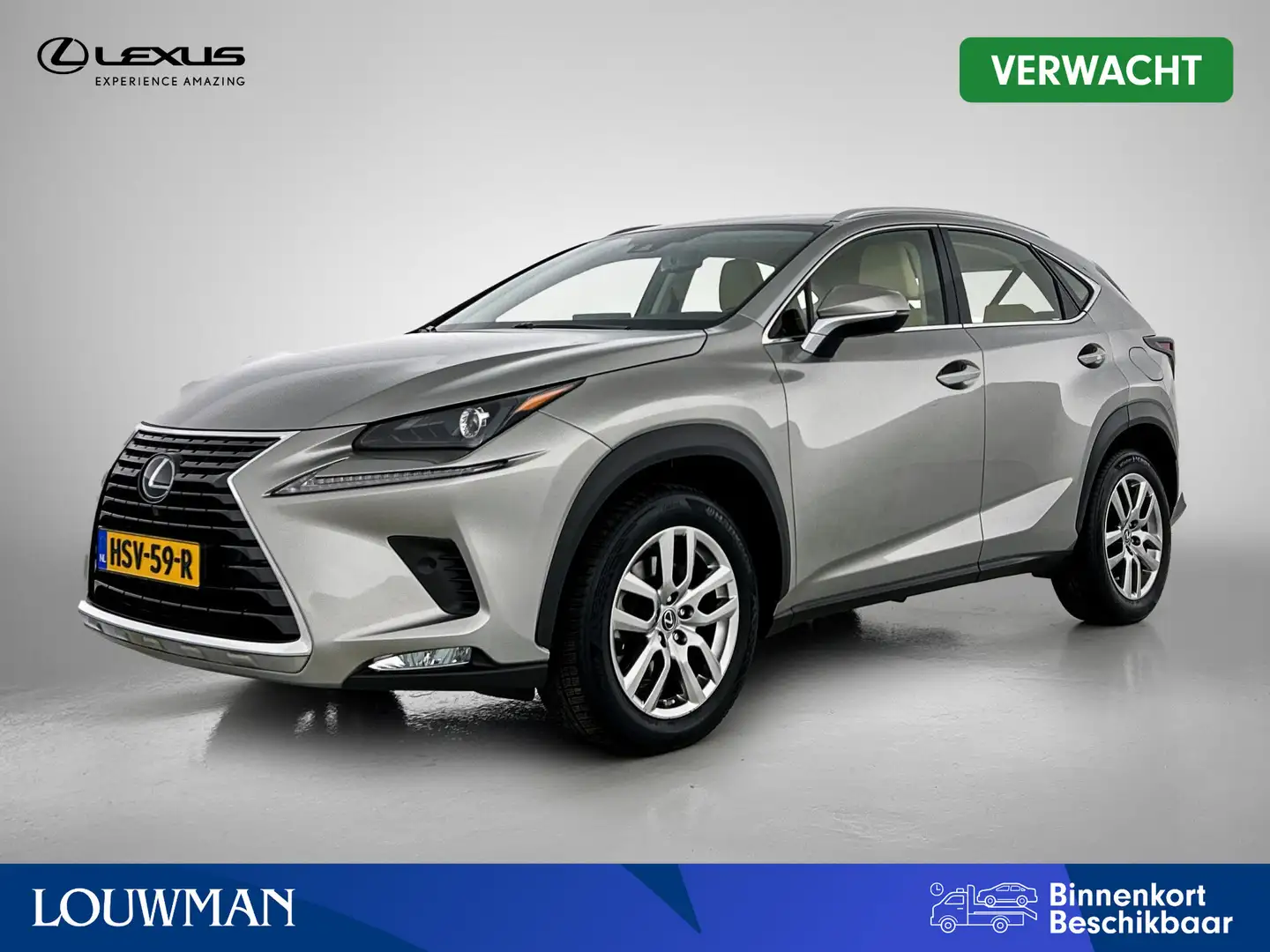 Lexus NX 300h AWD Business Line | Navigatie | Leder | Elektrisch Grijs - 1