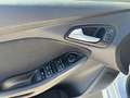 Ford Focus 1.0 EcoB. ST-Line Red&Black Ed. 125 Blanco - thumbnail 27