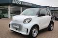smart forTwo coupe EQ / electric drive Automatik/Klima Bianco - thumbnail 1