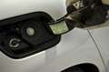 Renault Scenic Zen Energy TCe 97kW (130CV) - thumbnail 12