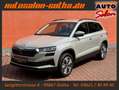 Skoda Karoq Style 1.5TSI LED+Navi+Virt.Cockpit+KESSY Grau - thumbnail 1