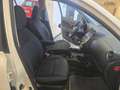 Nissan Micra Micra IV 2010 5p 1.2 Tekna Bianco - thumbnail 6
