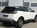 Peugeot 3008 1.5 Blue HDI Allure Pack EAT8 *LEDER * virtual CP* Weiß - thumbnail 4