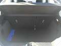 Ford Fiesta 1.0 Ecoboost Hybrid 125 CV 5 porte Titanium Bianco - thumbnail 6