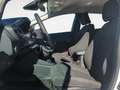 Ford Fiesta 1.0 Ecoboost Hybrid 125 CV 5 porte Titanium Bianco - thumbnail 11